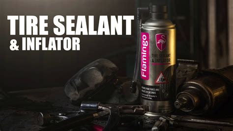 Ford Tire Inflator And Sealant Kit