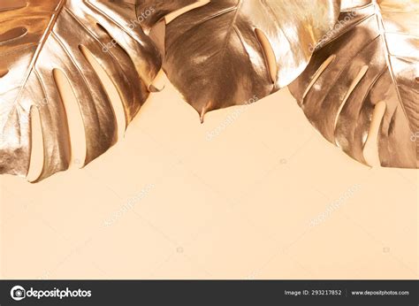 Floral Minimal Style Concept Exotic Summer Trend Golden Tropical Palm Monstera Leaf On Nude
