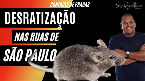 Como Acabar Ratos Desratiza O Isca Veneno Raticida