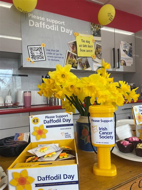 Daffodil Day The Palladio Door Collextion