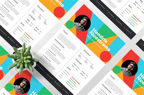 20 Stylish Resume Color Schemes for 2021