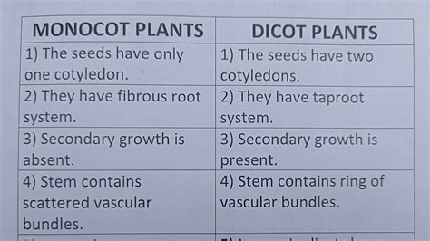 Difference Between Monocot And Dicot Definition, Structure,, 58% OFF