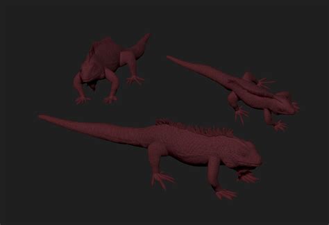 Iguana 3D Model - TurboSquid 2139724