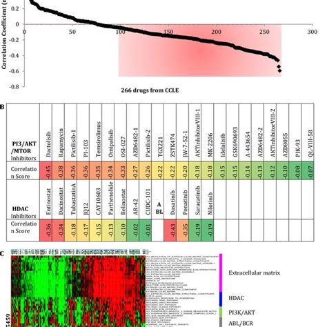 Pi K Akt Mtor Signaling Pathways Seem Potential Targets For Ecm