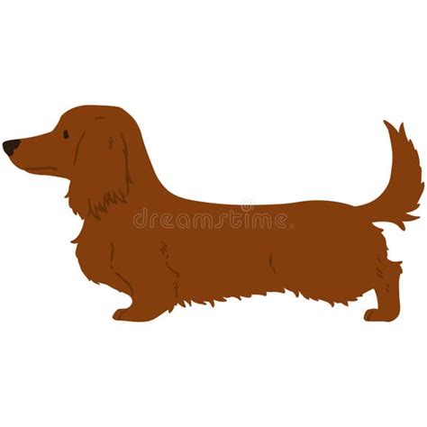 Long Haired Dachshund Silhouette Stock Illustrations 33 Long Haired Dachshund Silhouette Stock