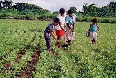 Definición de Agricultura