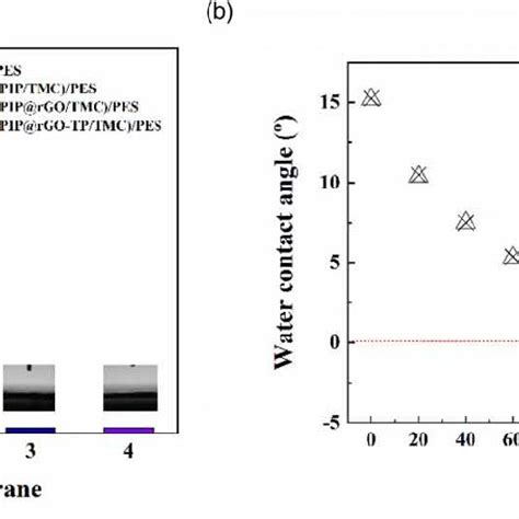 Water Contact Angle Of Membranes A And The Influence Of Time On