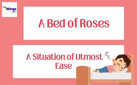 A Bed of Roses Meaning, Definition, Example | Leverage Edu