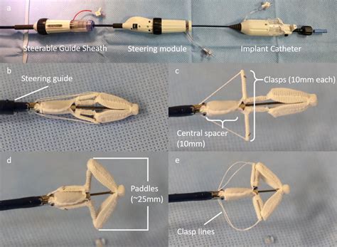 Illustration Of The Pascal System A And The Implant Be Download