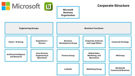 Microsoft Org Chart Report in 2025 – databahn, LLC