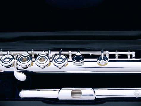 Флейты профессиональные Di Zhao - Флейты Di Zhao. Официальный дилер DI ...