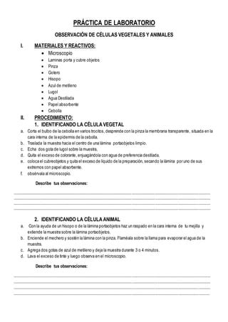 Practica De Laboratorio Pdf