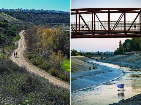 Ballona wetlands photos — Peter Bennett - Citizen of the Planet Photography