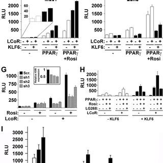 Model Of Lcor As A Rexinoid Inhibited Ppar Rxr Coactivator A Schematic