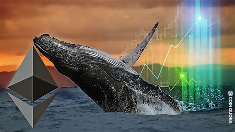 Ethereum Whales Are Holding Eth Accumulated Since Last Year Eth