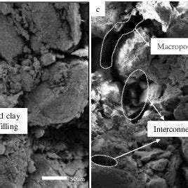 Pore Diameter Porosity And Pore Connectivity Of Cdmg Sample The