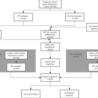 Prognostic Analysis Of The 8 Gene Signature Model In The Siena Cohort