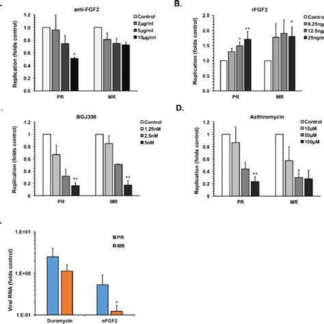 Sertoli Cells Support High Levels Of Zikv Replication A Primary