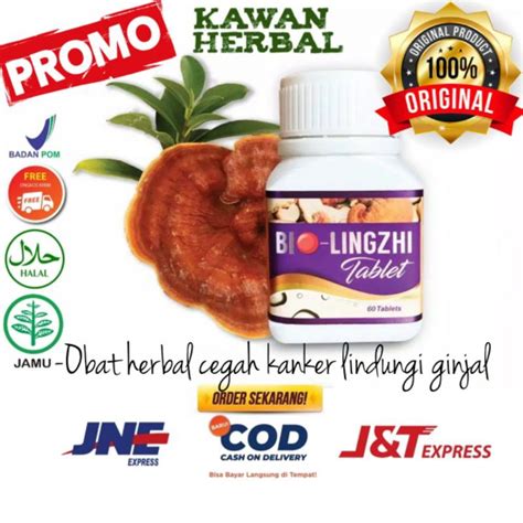 Jual Bio Lingzhi Original Tablet Obat Kesehatan Tubuh Ginjal