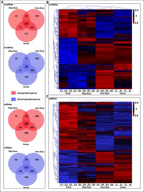 Intergroup Analysis Of Differentially Expressed Long Noncoding Rnas