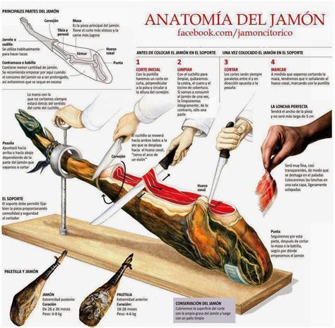 Curso Corte De Jamon