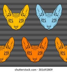 Pattern Hairless Sphinx Cat Face Graphics Stock Vector Royalty Free