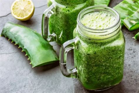 Jugo De Nopal Cuales Son Sus Beneficios S Per Nutritivo Y Saludable