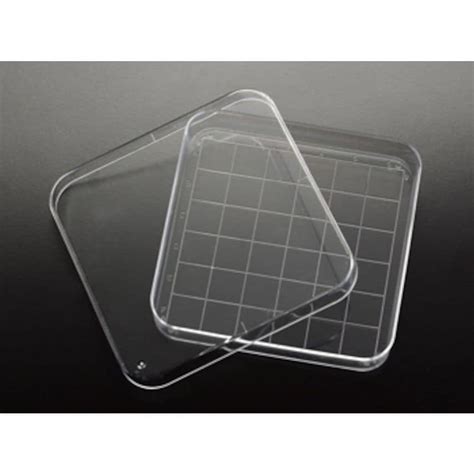 Shop Simport Petri Dish X Mm Diam X H With Labelled Grid