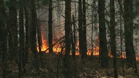 Najwyższy stopień zagrożenia pożarowego w lasach Podkarpacia TVN24