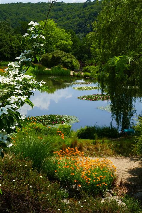 Le Jardins d eau Carsac Aillac 1 günter l Flickr