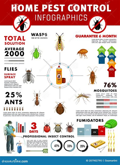 Pest Control Service Infographics With Graphs Stock Illustration