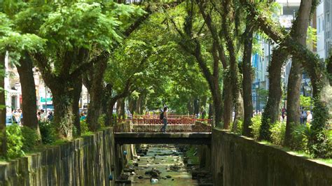 Visit Petrópolis Best Of Petrópolis Rio De Janeiro State Travel 2022