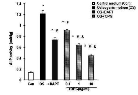 The Alp Activity Was Measured And Normalized By Protein Amount In Download Scientific Diagram