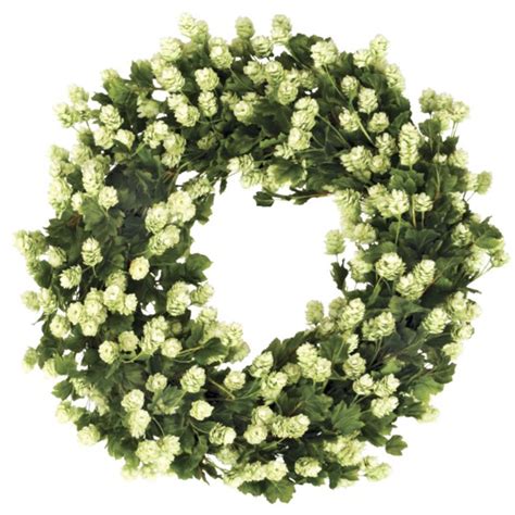 Hops Wreath 30" - Plant Jungle