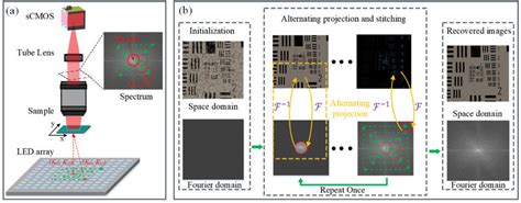 A Fourier Ptychography Microscopy Fpm Setup And B Fpm Algorithm