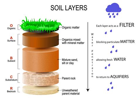 Soil As A Water Filter Denbow