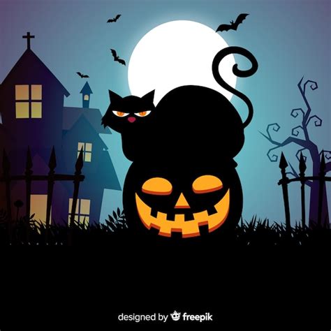 Schwarze Katze Halloween Vektoren Und Illustrationen Zum Kostenlosen