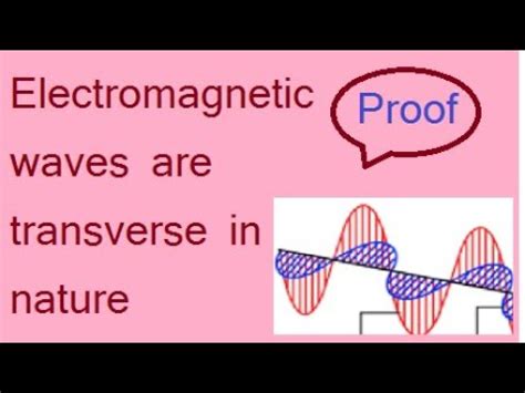 Electromagnetic Waves Are Transverse In Nature Proof YouTube