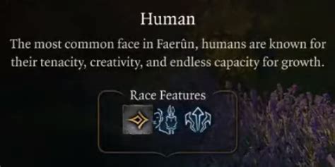 New Human Race Features : r/BaldursGate3