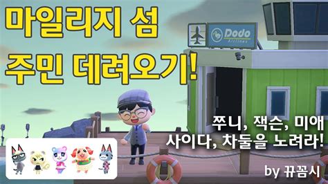 모동숲 캠핑장 주민 데려오기 이렇게 흥미로운 방법은 없어요