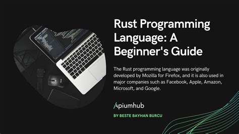 Rust Programming Language: A Beginner's Guide - Apiumhub