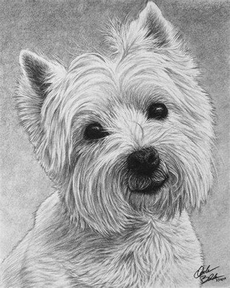 Hyper Realistic Pencil Drawings of Dogs | Dog paintings, Dog drawing ...