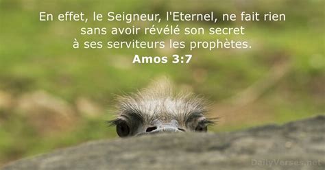 3 Octobre 2024 Verset Biblique Du Jour Amos 3 7 DailyVerses Net