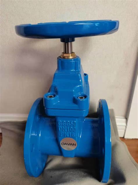 Ductile Cast Iron Gate Valve DN50 DN800 Sluice Valve BS DIN Awwa Ggg40