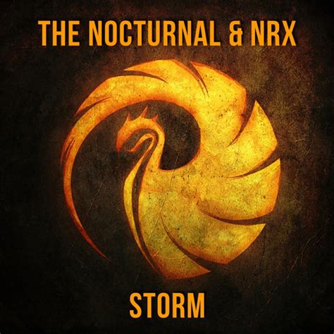 Storm Single De The Nocturnal Spotify