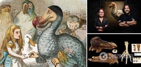 Dodo bird - scientists want to resurrect long extinct fabulous creatures - photo