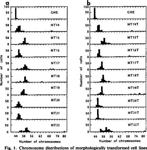 Figure 1 From Karyotypic Changes With Neoplastia Conversion In