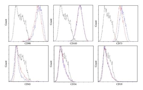 Characteristics Of Transfected Bm Mscs A Representative Morphology Download Scientific