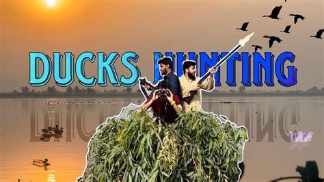 Ducks Hunting Murghabi Ka Shikar Marwatiyan Youtube