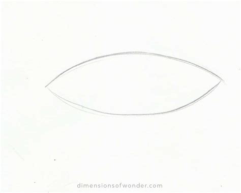 Shark Pencil Drawing Step-by-Step Tutorials [Cute & Realistic]